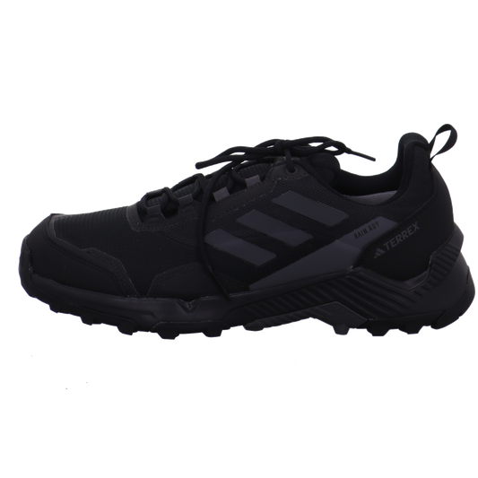 Adidas TERREX EASTRAIL 2 R.RDY schwarz kombi Bild1