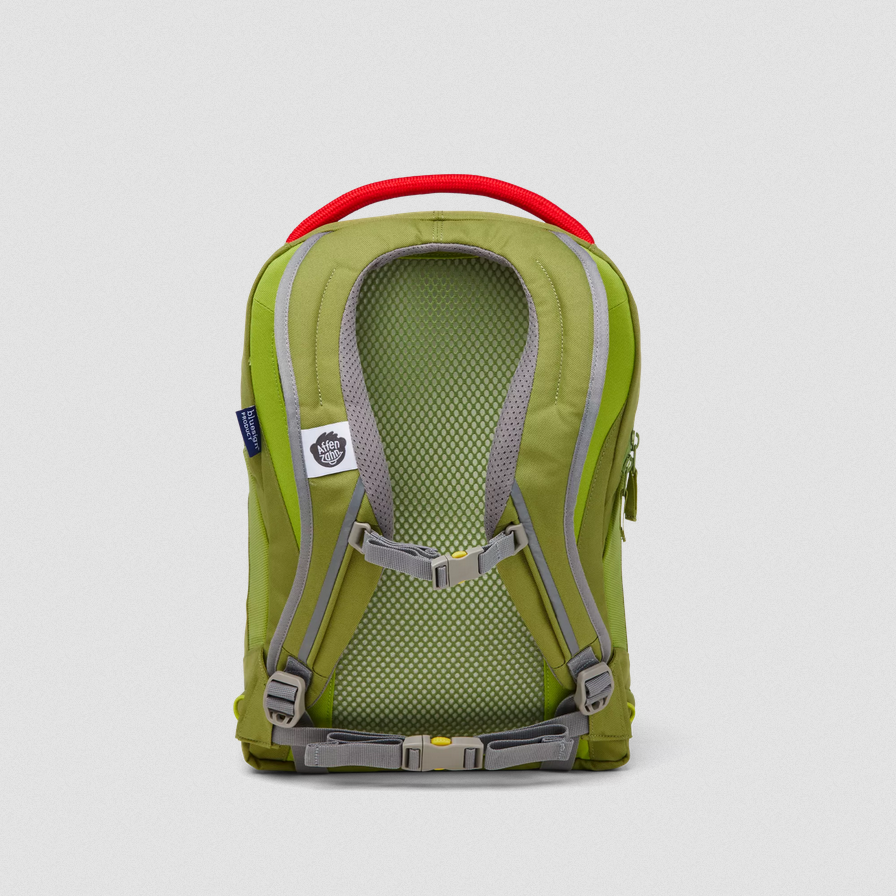 Affenzahn Abenteuerrucksack Daydreamer grün kombi
