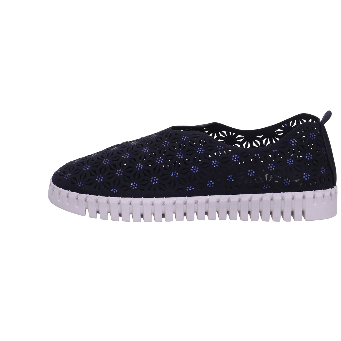 Cosmos  dunkel-blau Bild1