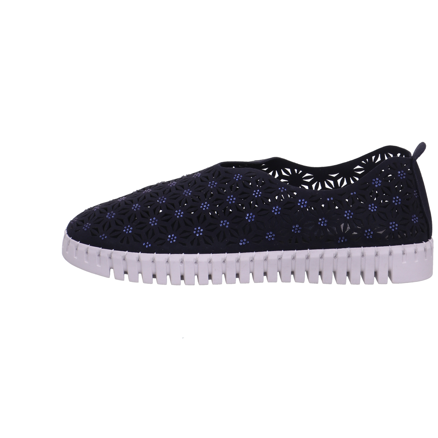 Cosmos  dunkel-blau Bild1