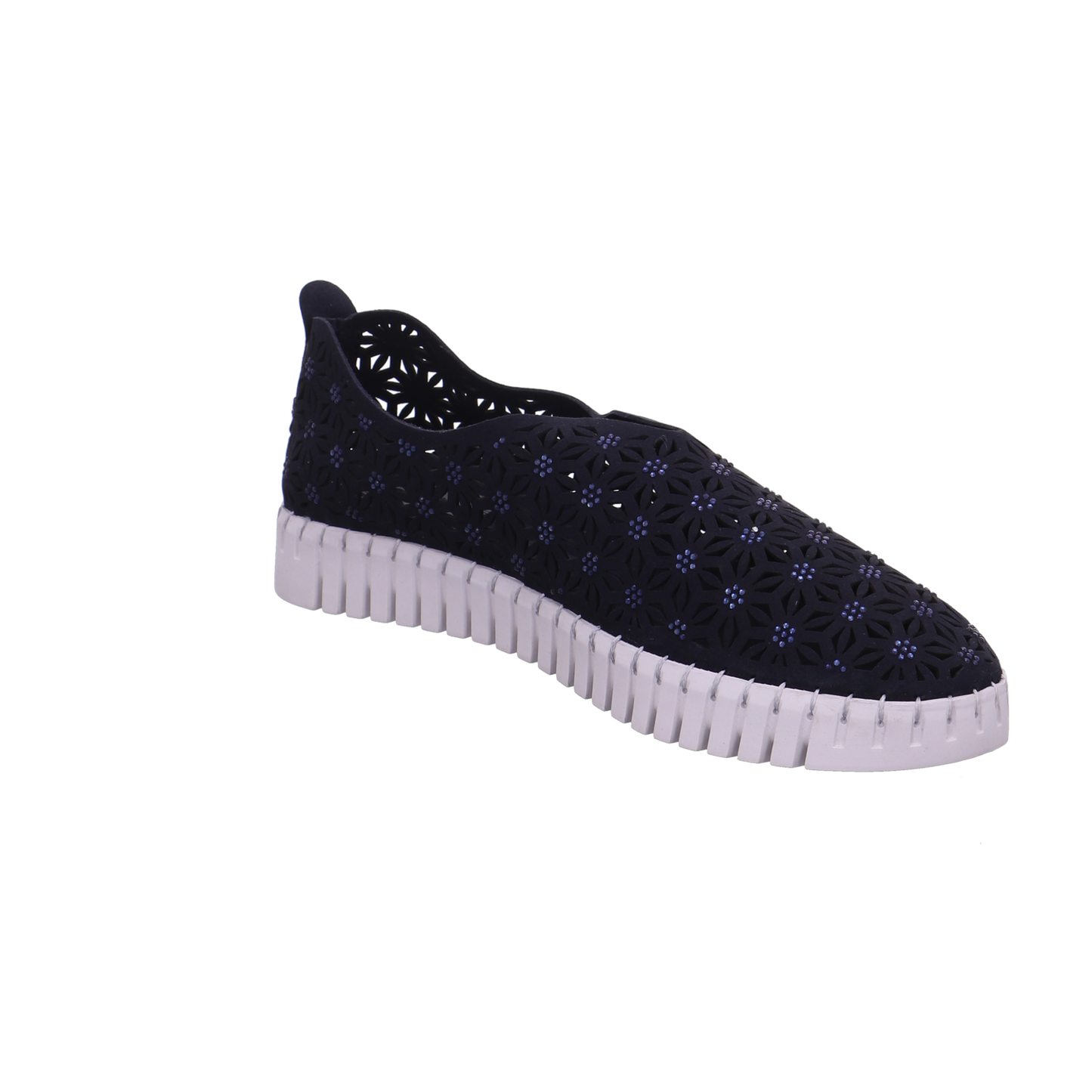 Cosmos  dunkel-blau Bild7