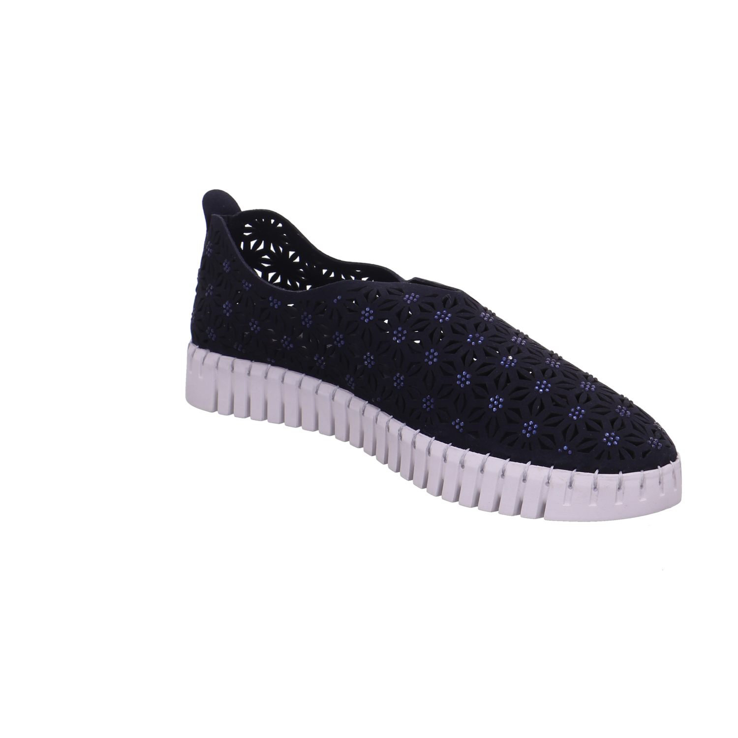 Cosmos  dunkel-blau Bild7