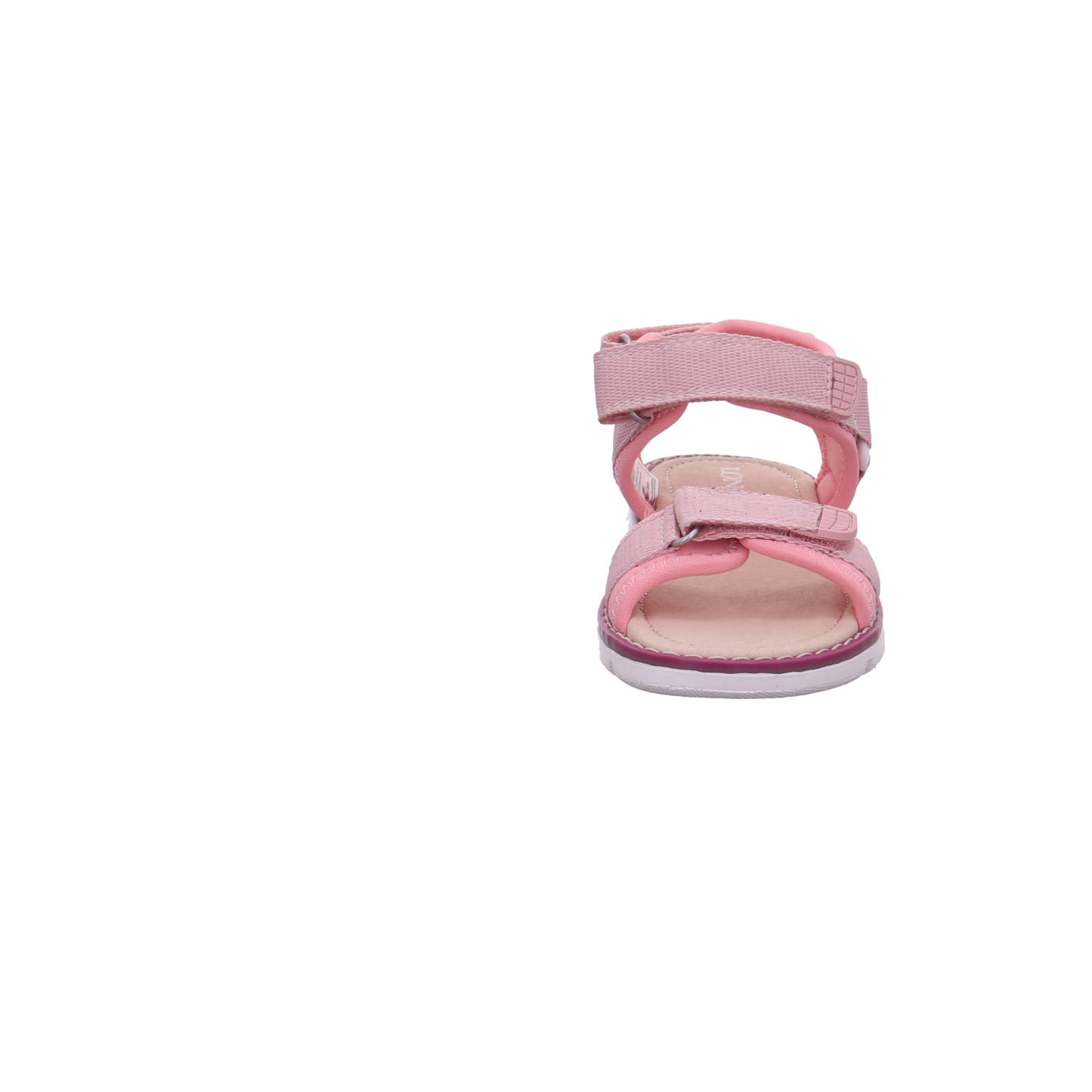 Longo rose Bild3