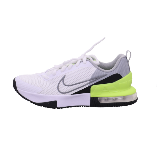 Nike Nike Air Max Alpha Trainer 6 M grau kombi Bild1