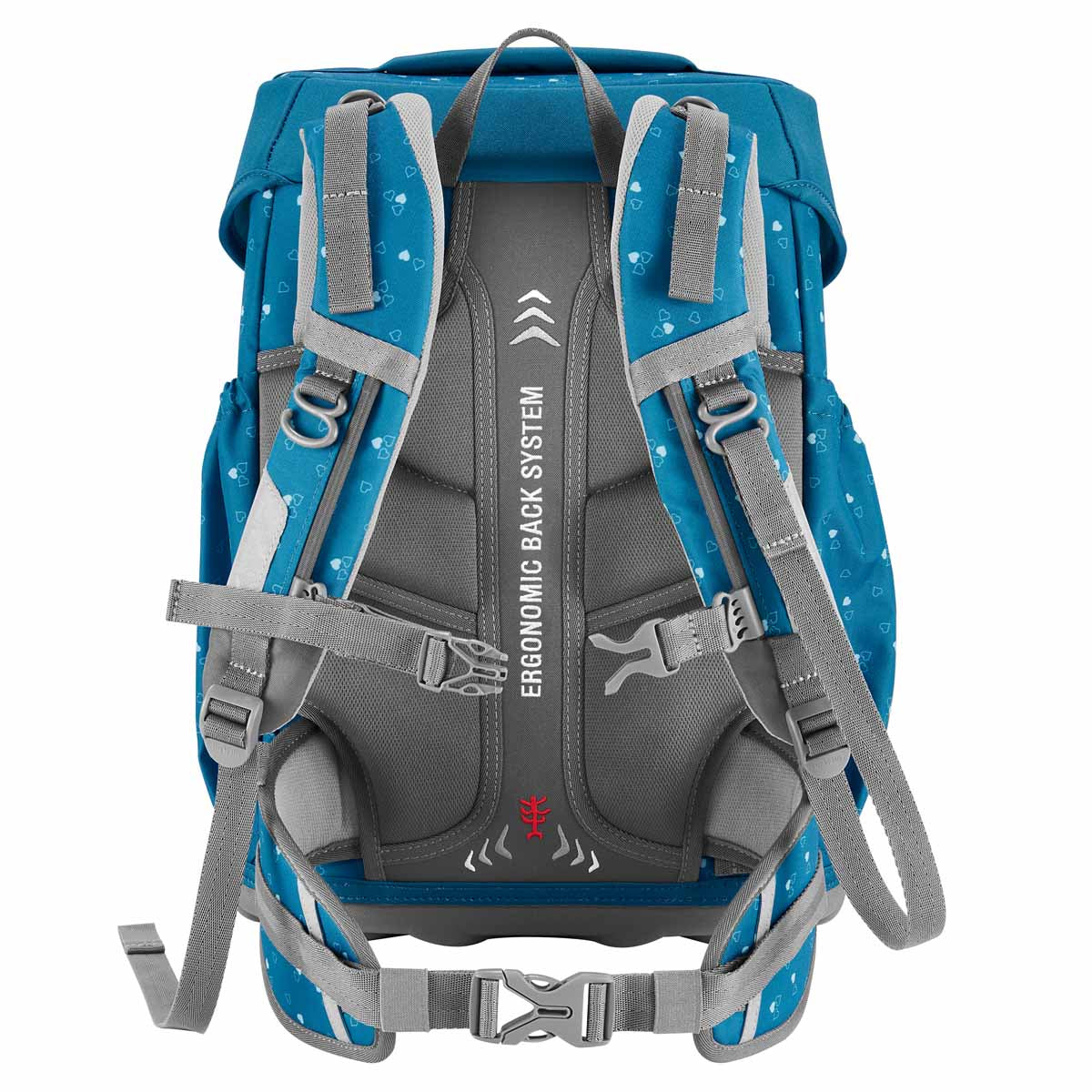 Step by Step BASIS blau