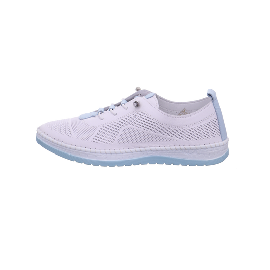 Cosmos  weiß kombi Bild1