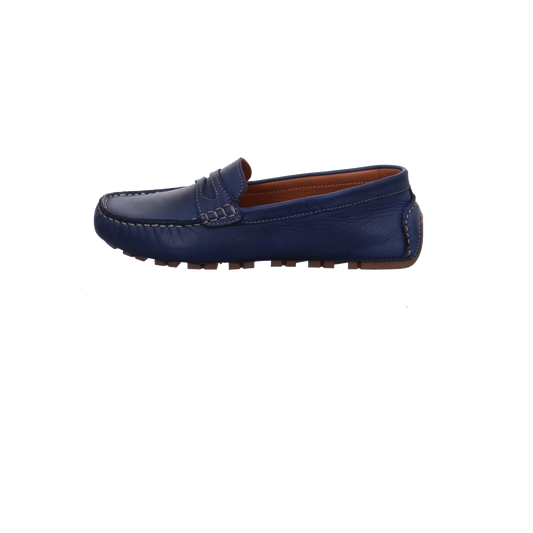 Gemini Anilina blau Bild1