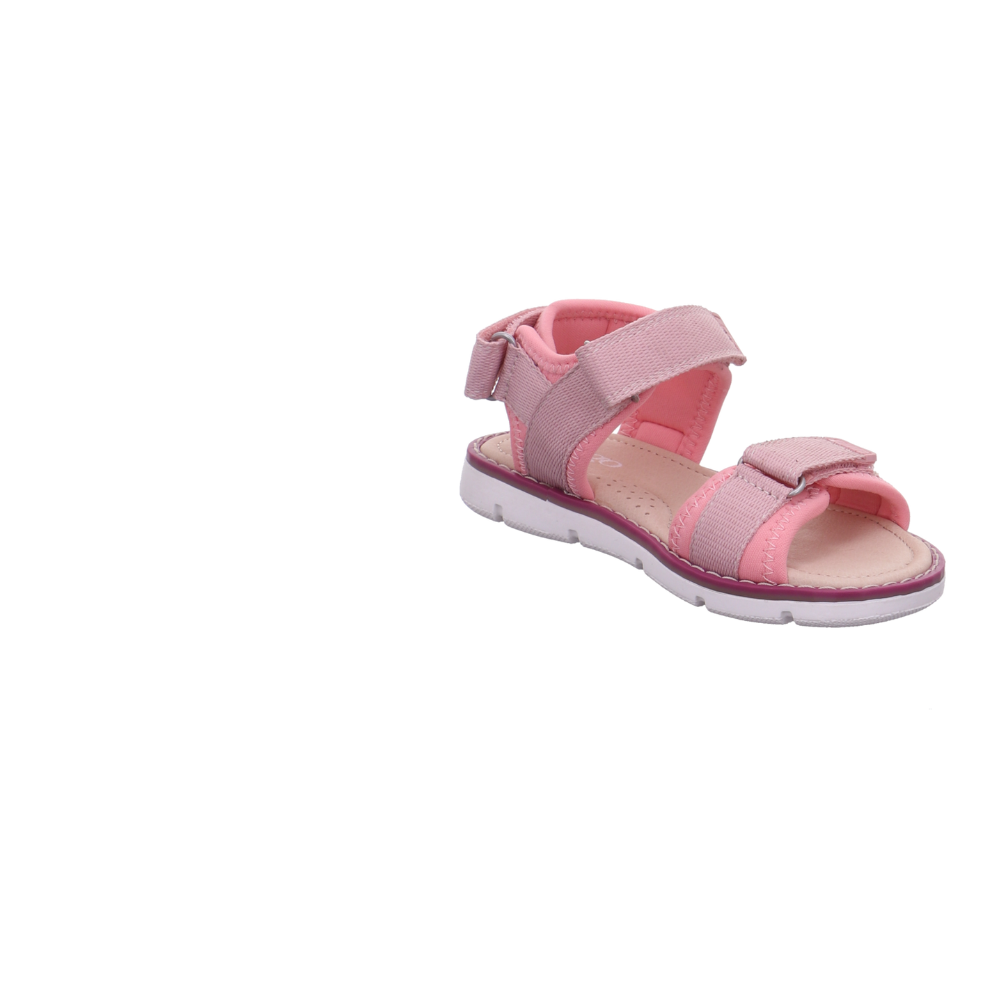 Longo  rose Bild7