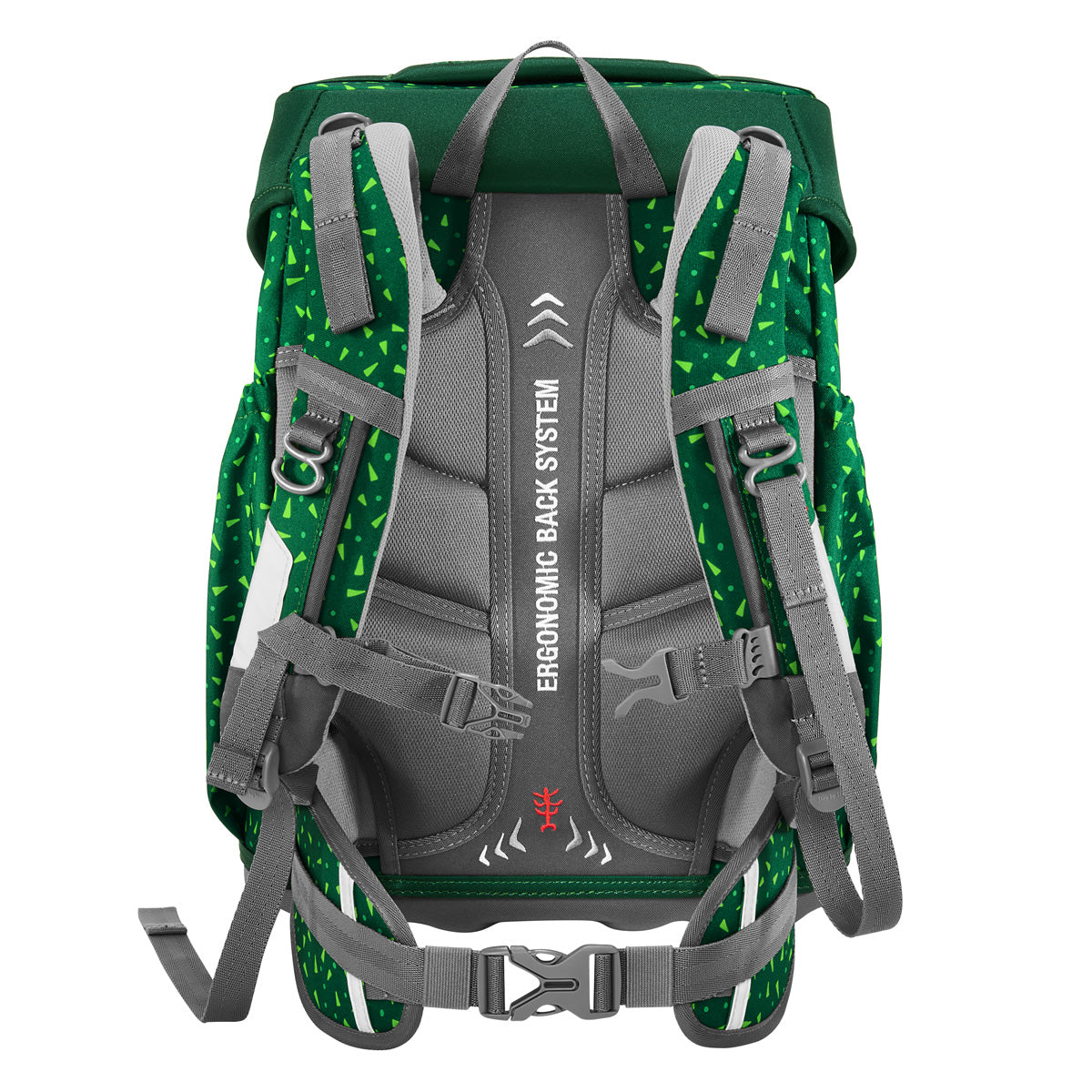 Step by Step BASIS grün